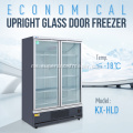 Vertical Freezer Double Doom Mini Fridge Upright Cooler